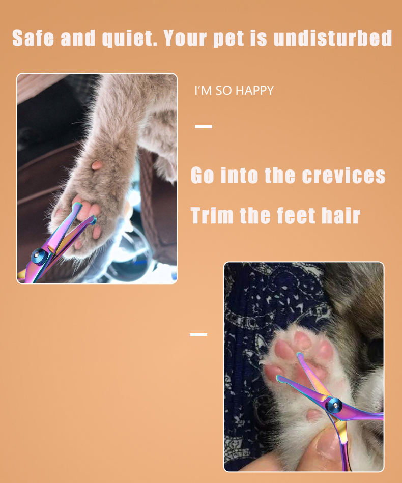Forbici per animali domestici  - Grooming Scissors recensione e prezzo