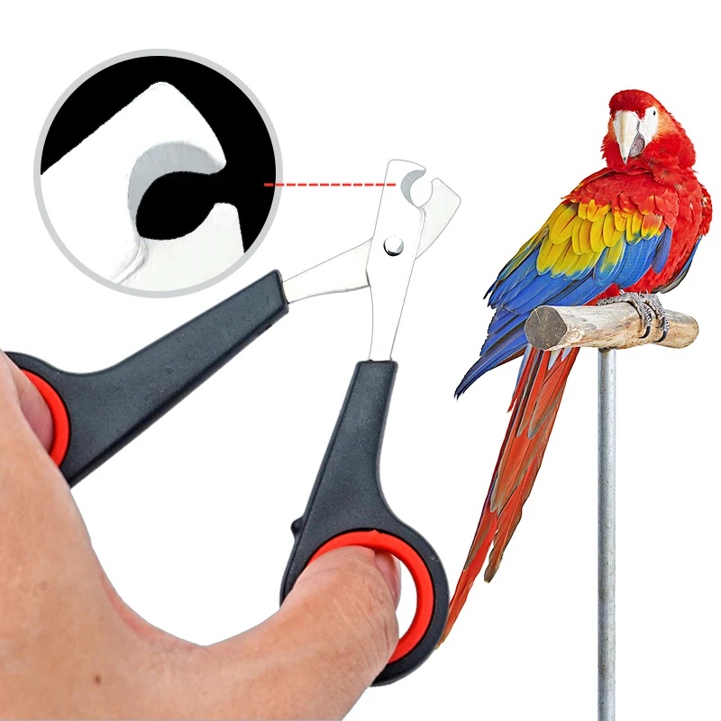 Forbici per Unghie di Pappagal - Grooming Scissors recensione e prezzo