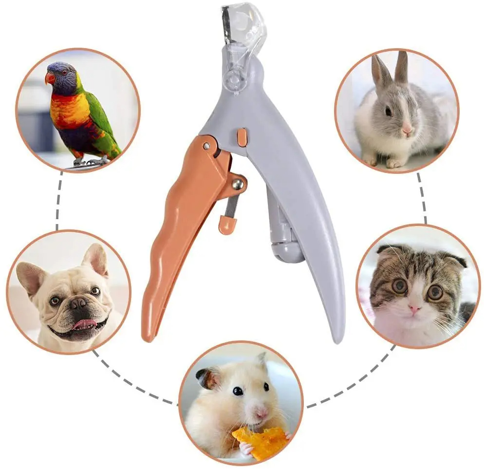 Forbici professionali per il t - Grooming Scissors recensione e prezzo