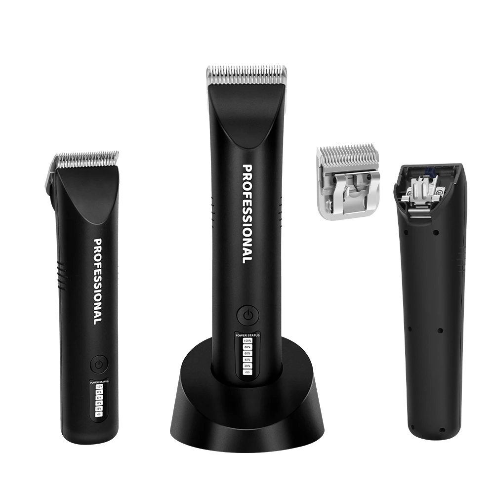 Tagliacapelli professionale pe - Hair Clipper recensione e prezzo