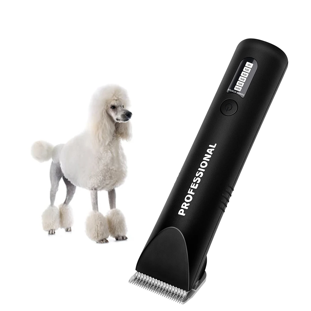 Tagliacapelli professionale pe - Hair Clipper recensione e prezzo